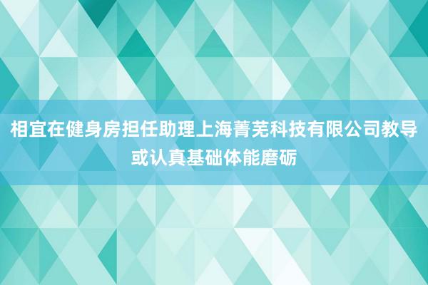 相宜在健身房担任助理上海菁芜科技有限公司教导或认真基础体能磨砺
