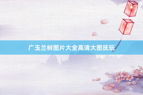 广玉兰树图片大全高清大图抚玩