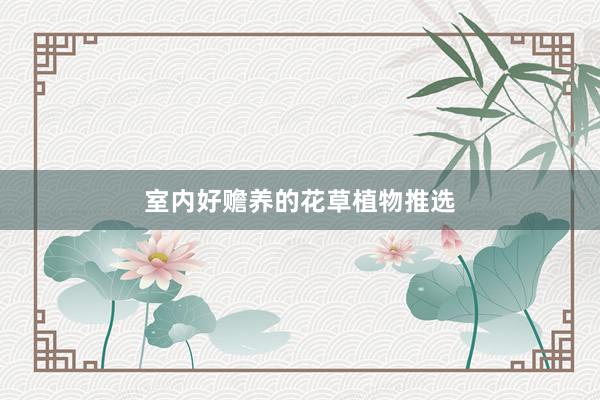 室内好赡养的花草植物推选