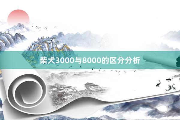 柴犬3000与8000的区分分析