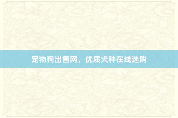 宠物狗出售网，优质犬种在线选购