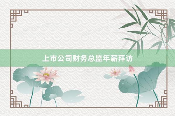 上市公司财务总监年薪拜访